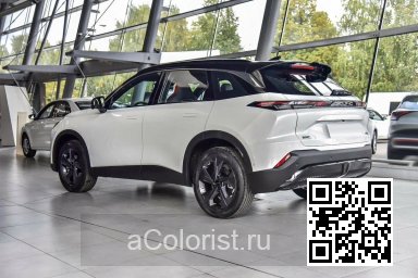 X55 | CAQ, NCR - WHITE METALLIC 3