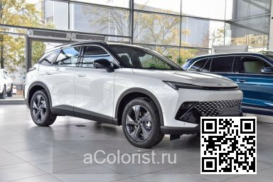 X55 | CAQ, NCR - WHITE METALLIC 2