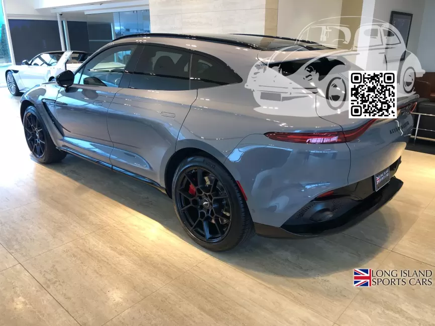 Aston Martin | DBX (AM8) | AST5171D, 5171D - CHINA GREY (СОЛИД) 1