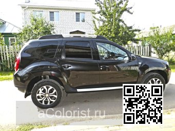 Renault | DUSTER | 676 - NOIR NACRE 1