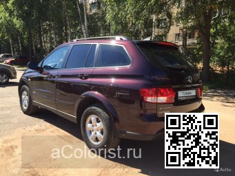 SsangYong | KYRON | WAC - PREMIERE WINE 3