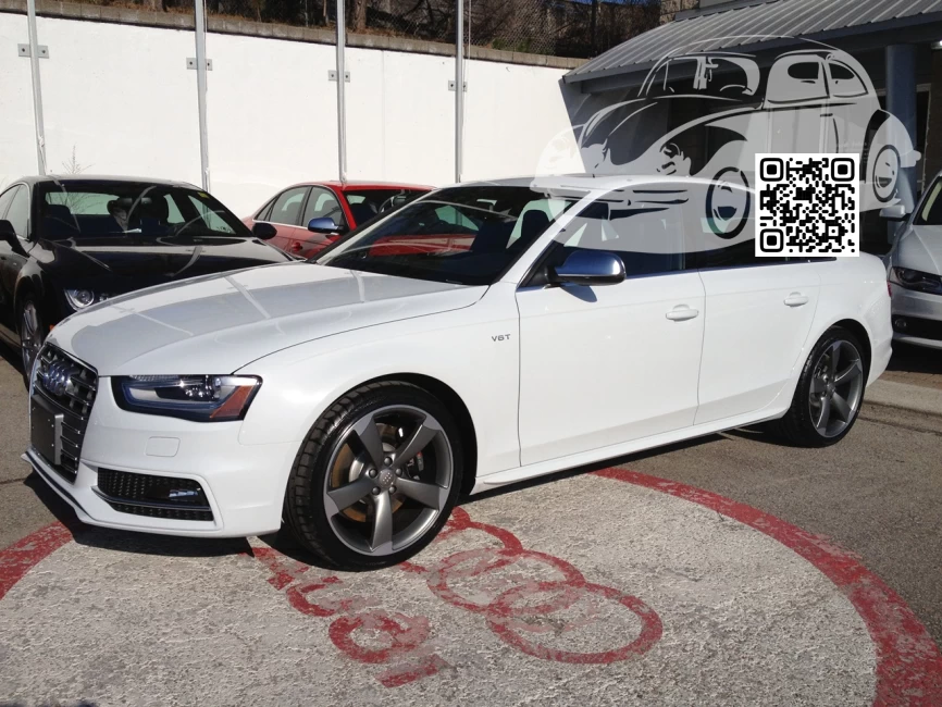 Audi | A4, S4, RS4 (B8, 8K) | S9R, LS9R, 2Y, 2Y2Y - GLACIER WHITE, GLETSCHERWEISS, BLANC GLACIER/BIANCO ICARUS 0