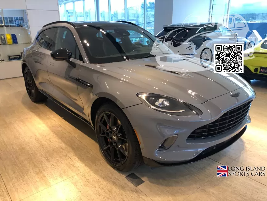 Aston Martin | DBX (AM8) | AST5171D, 5171D - CHINA GREY (СОЛИД) 0