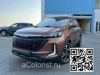 BAIC X35, BEIJING X3, SENOVA X35 | JAE - БРОНЗОВЫЙ ПЕРЛАМУТР 2