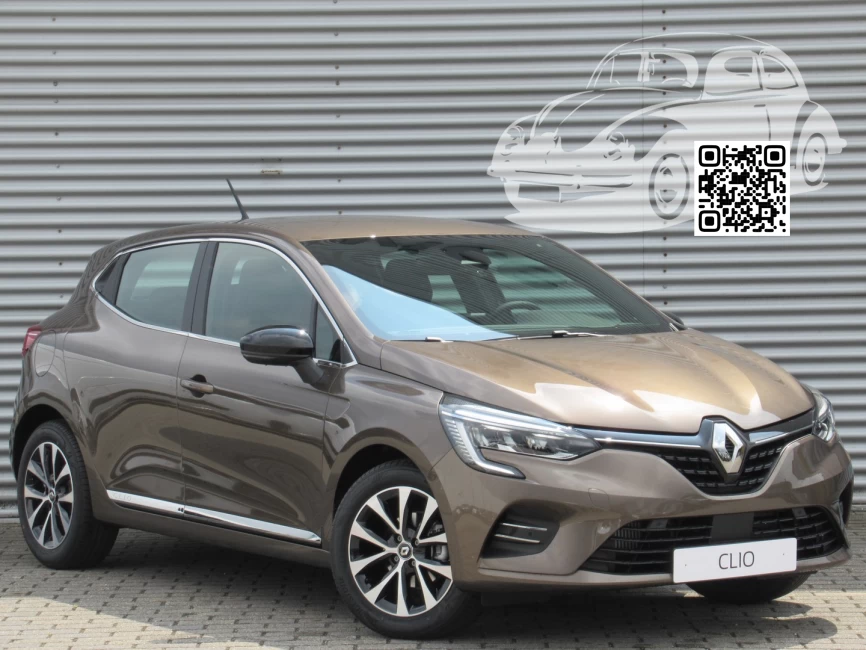 Renault | CLIO 5 (BJA, BF) | CNM - BRUN VISON, MINK BROWN, BRUN VISION, VISON RUSKEA, QUARZIT-BRAUN 0
