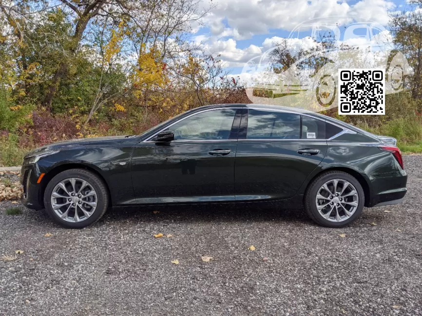 Cadillac | CT5 | GJ0, 624D - STINGER, RALLY GREEN, EVERGREEN (с 2020) 0