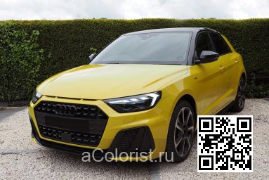 X1X, LX1X, R1, R1R1, R1H1, R10E - PYTHON YELLOW, PYTHONGELB, JAUNE PYTHON 0