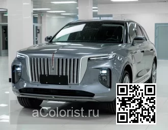 Hongqi | E-HS9 | 1N - GREY 1