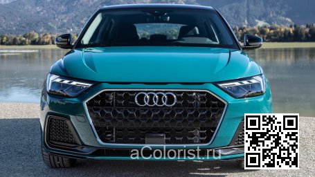 X6B, LX6B, P3, P3P3, P3H1, P30E - TIOMAN GREEN, TIOMANGRUEN, VERT TIOMAN (СОЛИД) 1