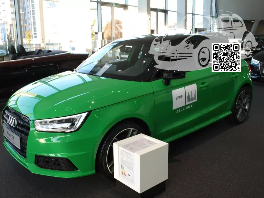 A1, S1 (8X) | 225 - VIPER GREEN, VIPERGRUEN, VIPERGRÜN (СОЛИД) (PORSCHE) 0