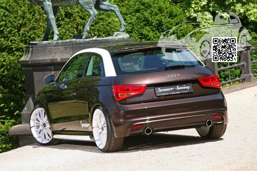 A1, S1 (8X) | Z8W, LZ8W, 4U, 4U4U - TEAK BROWN, TEAKBRAUN 1