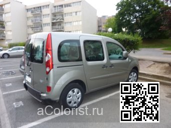 Renault | KANGOO 2 | C66 - GRIS BEIGE 1