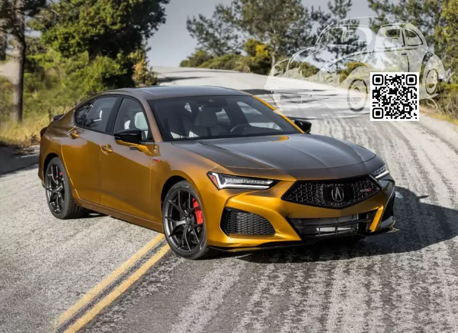 INTEGRA (DE4) | YR651P - TIGER EYE, NEW TIGER EYE (TYPE-S) 0