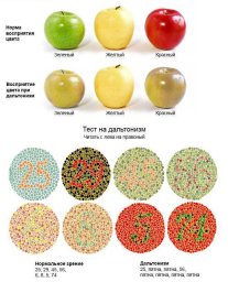 Тест Ишихара №1 Тест Ишихара №1
