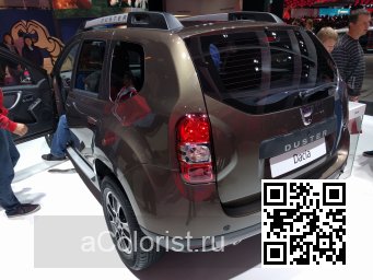 Renault | DUSTER | CNM - BRUN VISON, MINK BROWN, BRUN VISION, VISON RUSKEA, QUARZIT-BRAUN (DACIA) 2