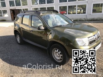 Renault | DUSTER | DNP - VERT OLIVETTE 1